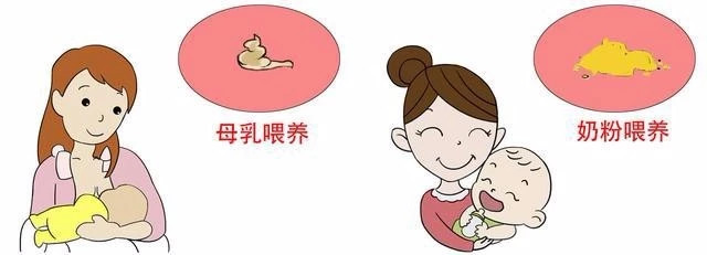 低聚半乳糖