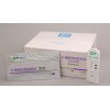 N-端脑利钠肽前体检测试剂盒（胶体金法）