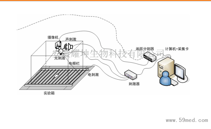 多通道恐惧实验